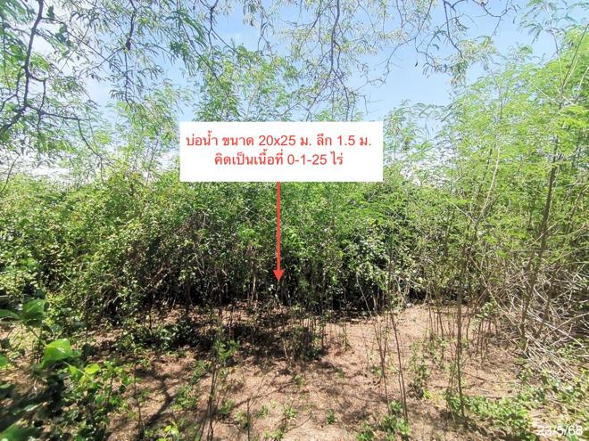 รูป ที่ดินว่างเปล่า 1800 ตร.วา เมืองเพชรบุรี เพชรบุรี 1.3M - รูปที่ 7/25