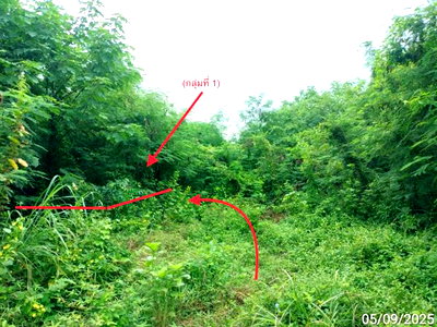 ที่ดิน สระบุรี : ที่ดินว่างเปล่า 850 ตร.วา ยุพนัย แก่งคอย สระบุรี 1.5M