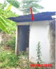 listing thumbnail image 7