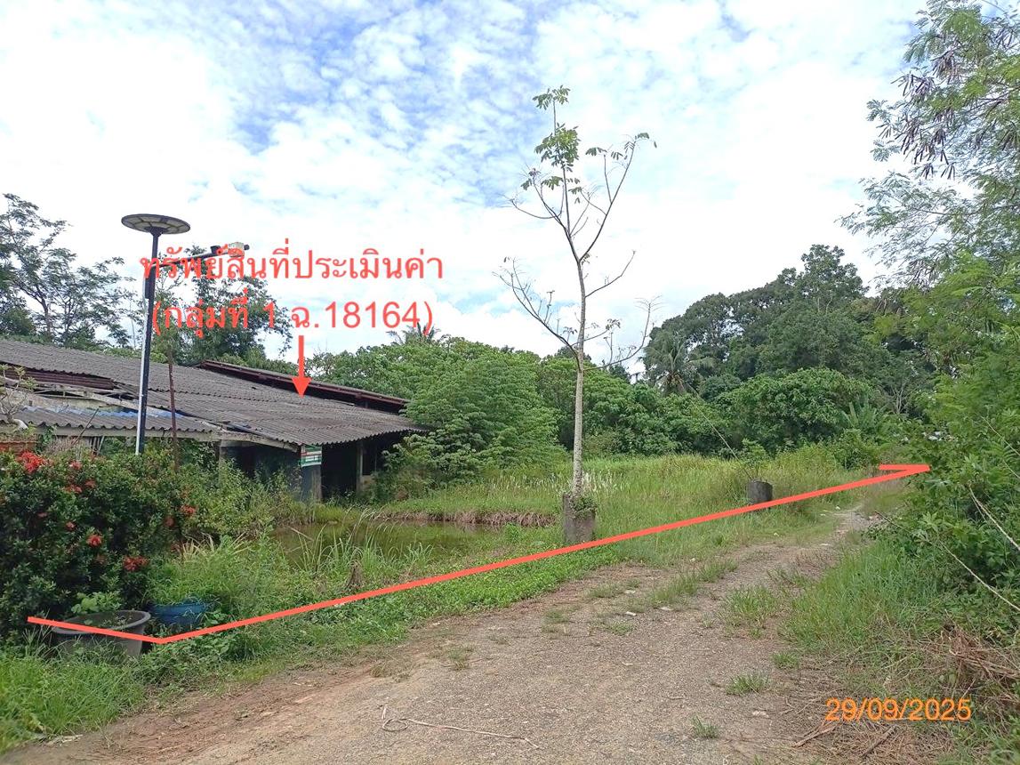 picture FACTORY 1026.6 Sq.w. Muang Trang Trang for 1.7M - 19/35