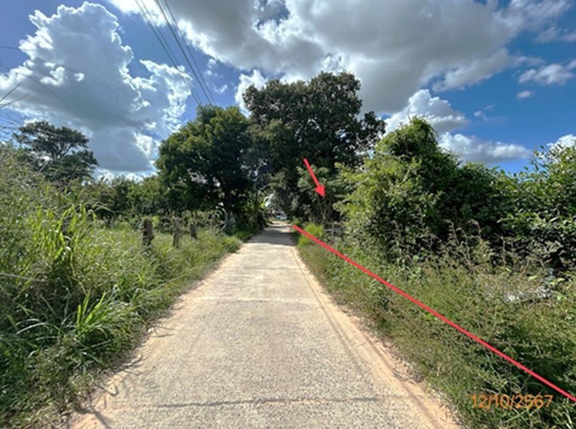 picture LAND 985 Sq.w. Khuang Nai Ubon Ratchathani for 1.2M - 12/19