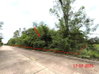 listing thumbnail image 20