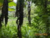 listing thumbnail image 25