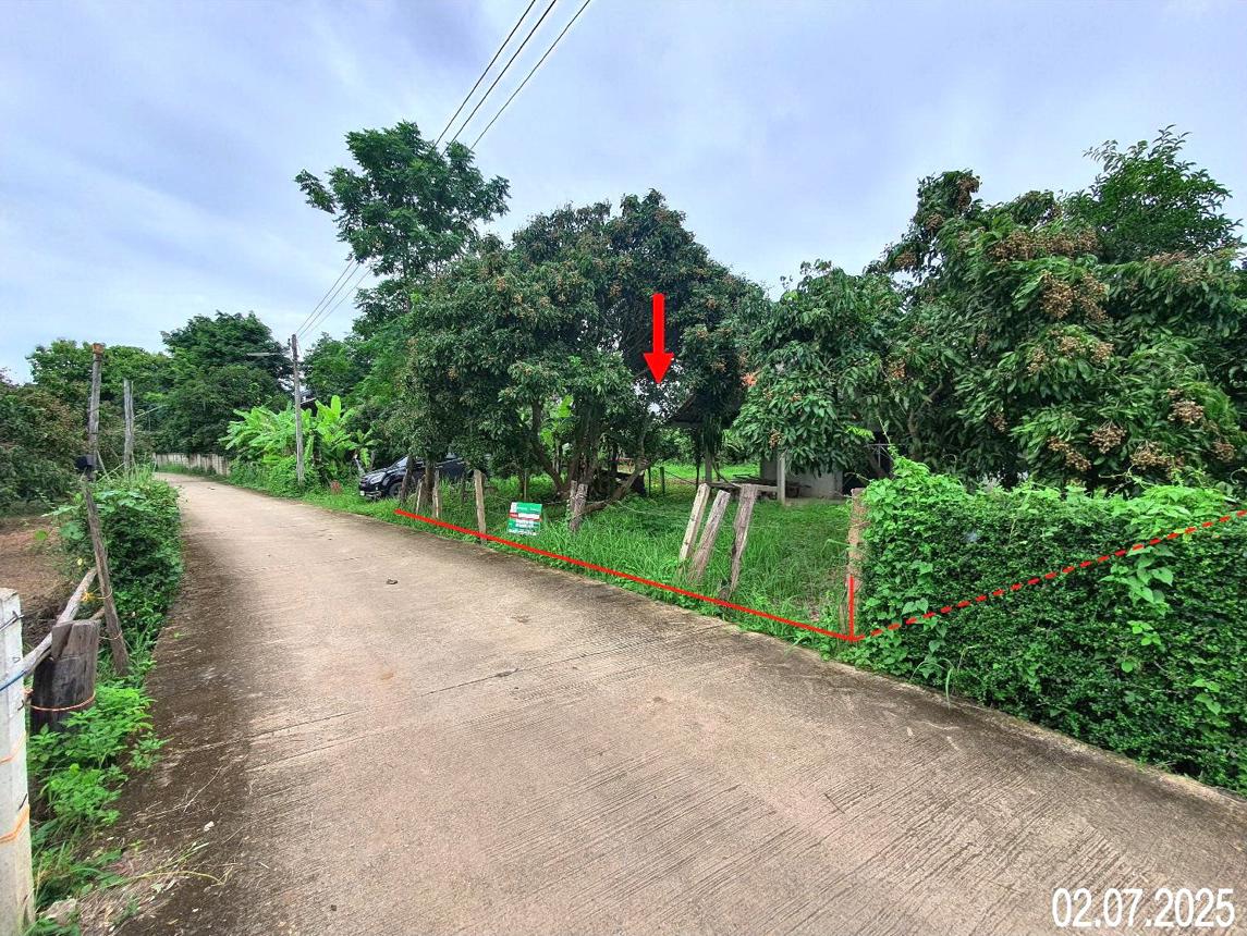 รูป บ้านเดี่ยว 284 ตร.วา เวียงสา น่าน 944,000 - รูปที่ 24/29