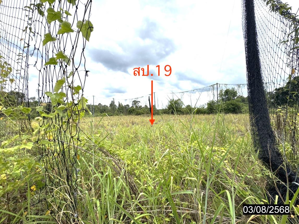 รูป โกดัง 11795 ตร.วา เดชอุดม อุบลราชธานี 37.3M - รูปที่ 65/71