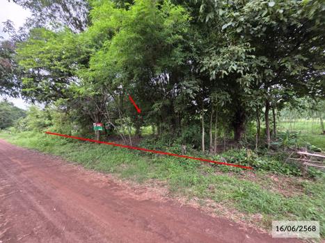 รูป ที่ดินว่างเปล่า 952 ตร.วา วาริชภูมิ สกลนคร 1.3M - รูปที่ 22/25