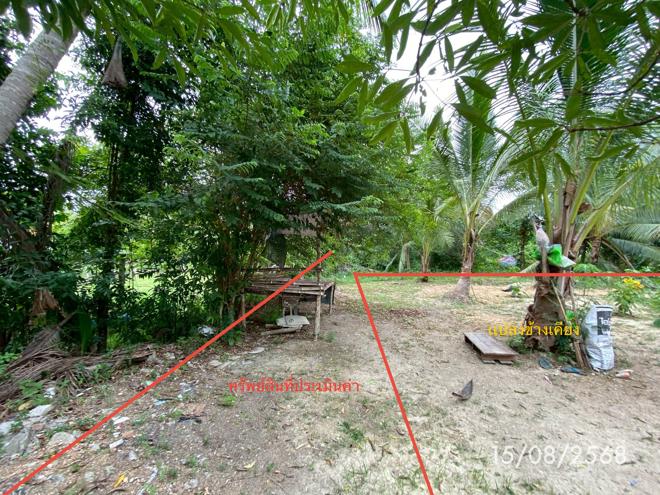 รูป ที่ดินว่างเปล่า 727.8 ตร.วา รัตภูมิ สงขลา 8.1M - รูปที่ 7/25