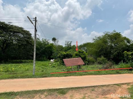 picture LAND 1777.2 Sq.w. Muang Ya Sothon Yasothon for 1.4M - 22/25