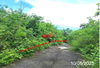 listing thumbnail image 9