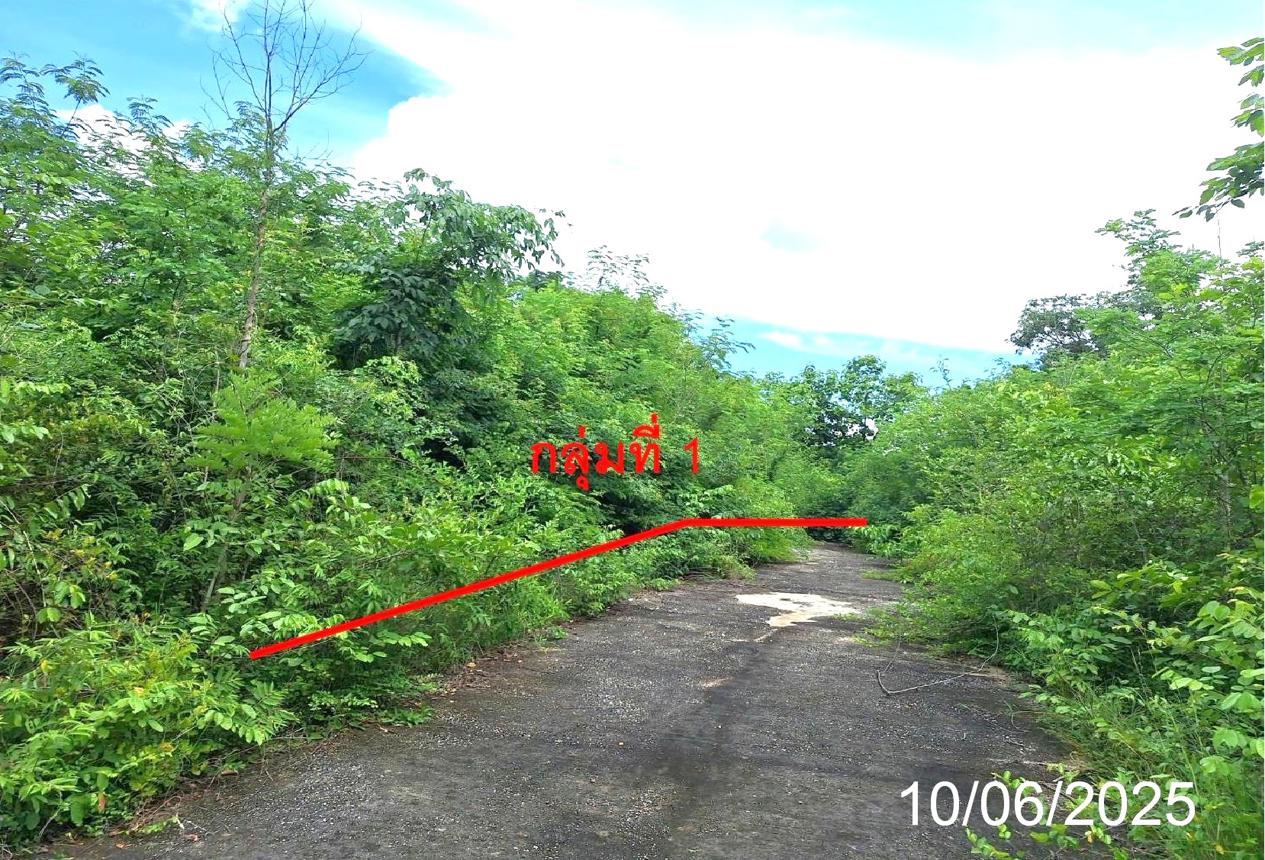 picture LAND 746 Sq.w. Mae Tha Lamphang for 656,000 - 10/21