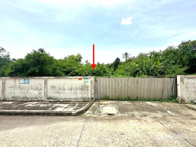 picture LAND 226 Sq.w. Bang Khae Bangkok for 6.9M - 1/15