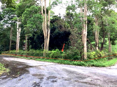 Land for sale Mae Chan Chiang Rai : LAND 445 Sq.w. Mae Chan Chiang Rai for 4.1M