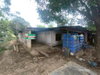 listing thumbnail image 31