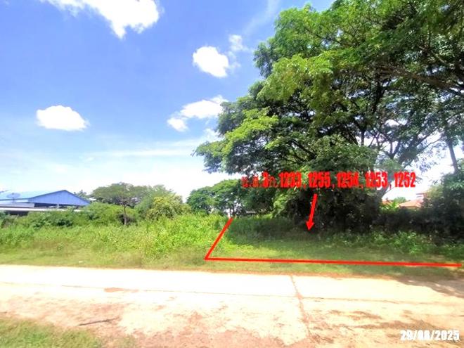 picture FACTORY 2059 Sq.w. Na Klang Nong Bua Lam Phu for 10.3M - 11/27