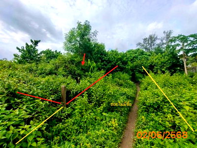 ที่ดิน เมืองกระบี่ กระบี่ : ที่ดินว่างเปล่า 150 ตร.วา เมืองกระบี่ กระบี่ 997,000