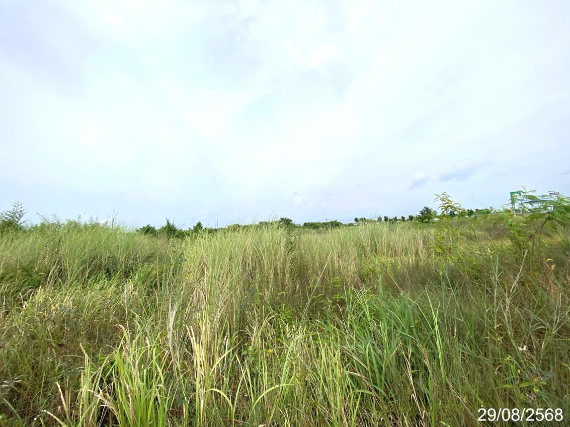 picture LAND 1016.8 Sq.w. Ban Bung Chonburi for 13.6M - 12/17