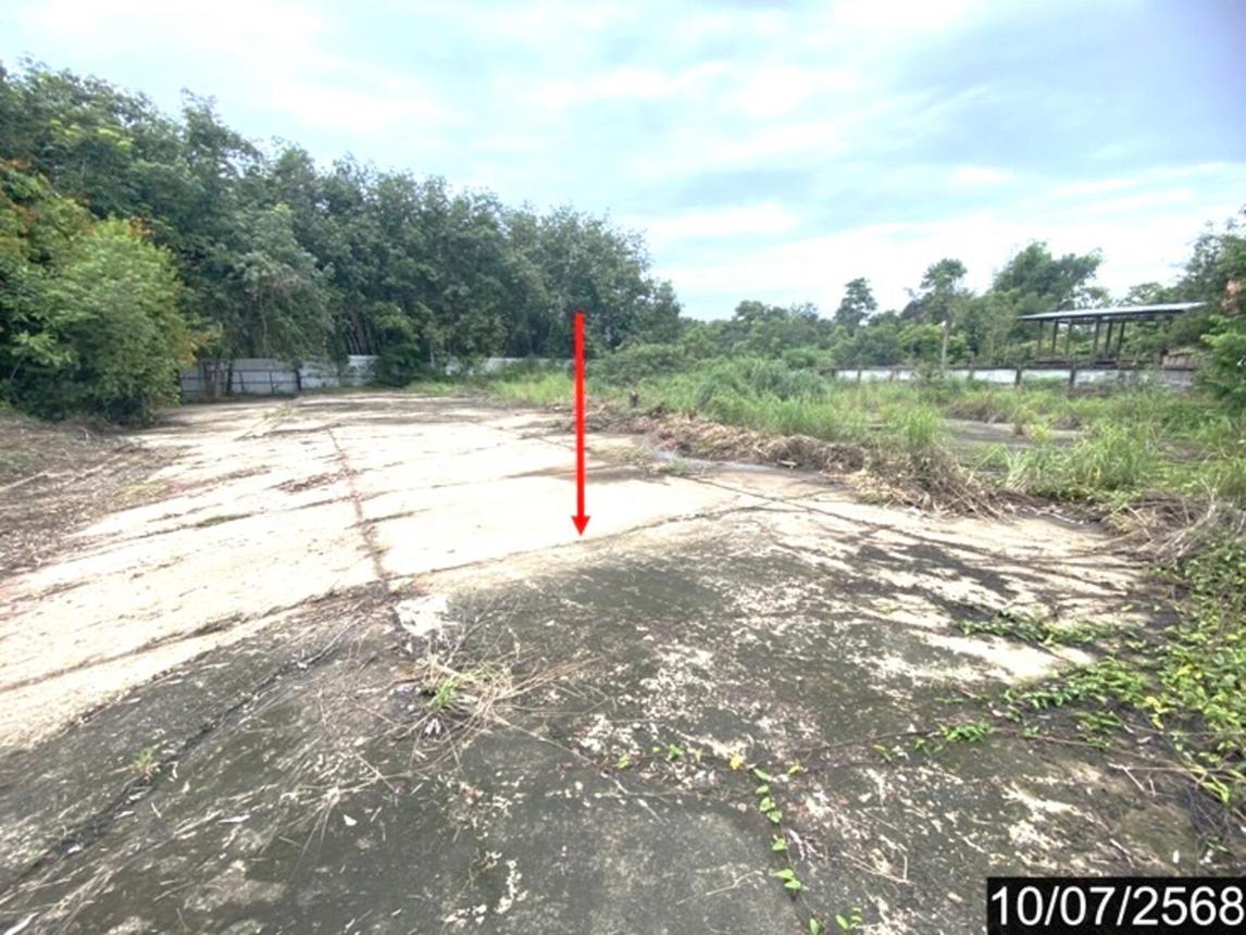 รูป บ้านเดี่ยว 9771.8 ตร.วา รัตนวาปี หนองคาย 14.3M - รูปที่ 46/53
