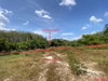 listing thumbnail image 27