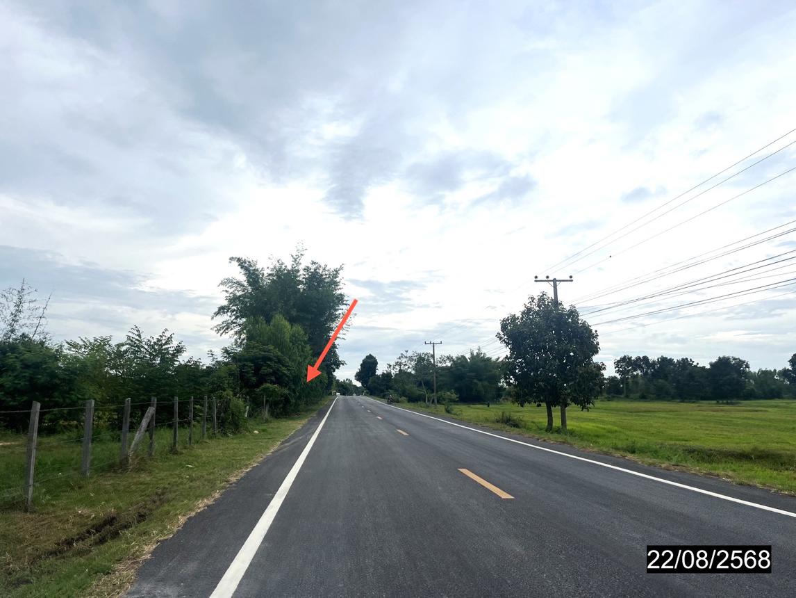 picture LAND 4242 Sq.w. Yang Si Surat Maha Sarakham for 2.8M - 14/19