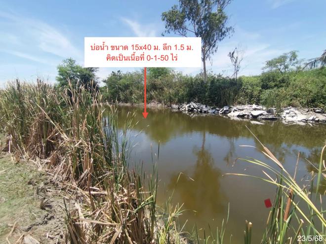 รูป ที่ดินว่างเปล่า 1800 ตร.วา เมืองเพชรบุรี เพชรบุรี 1.3M - รูปที่ 6/25