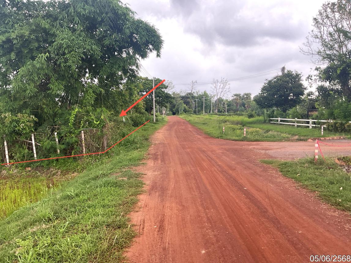 รูป ที่ดินว่างเปล่า 1124.3 ตร.วา เมืองสกลนคร สกลนคร 1.9M - รูปที่ 14/23