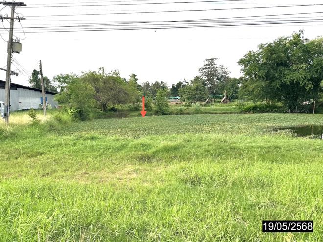 รูป ที่ดินว่างเปล่า 1591 ตร.วา เมืองร้อยเอ็ด ร้อยเอ็ด 7.3M - รูปที่ 6/15