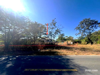 Houses for sale Khuang Nai Ubon Ratchathani : HOME 1908 Sq.w. Khuang Nai Ubon Ratchathani for 3.5M