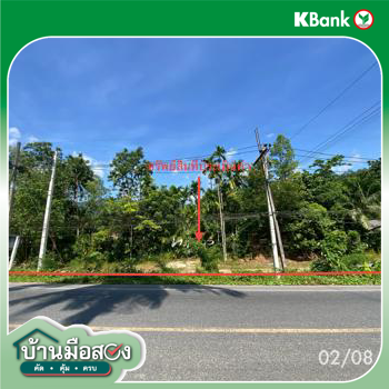picture LAND 320 Sq.w. Kong Ra Phatthalung for 2M - 19/21