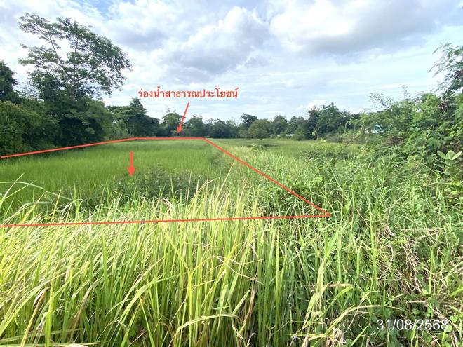 picture LAND 791.6 Sq.w. Muang Maha Sarakham Maha Sarakham for 4.9M - 5/17