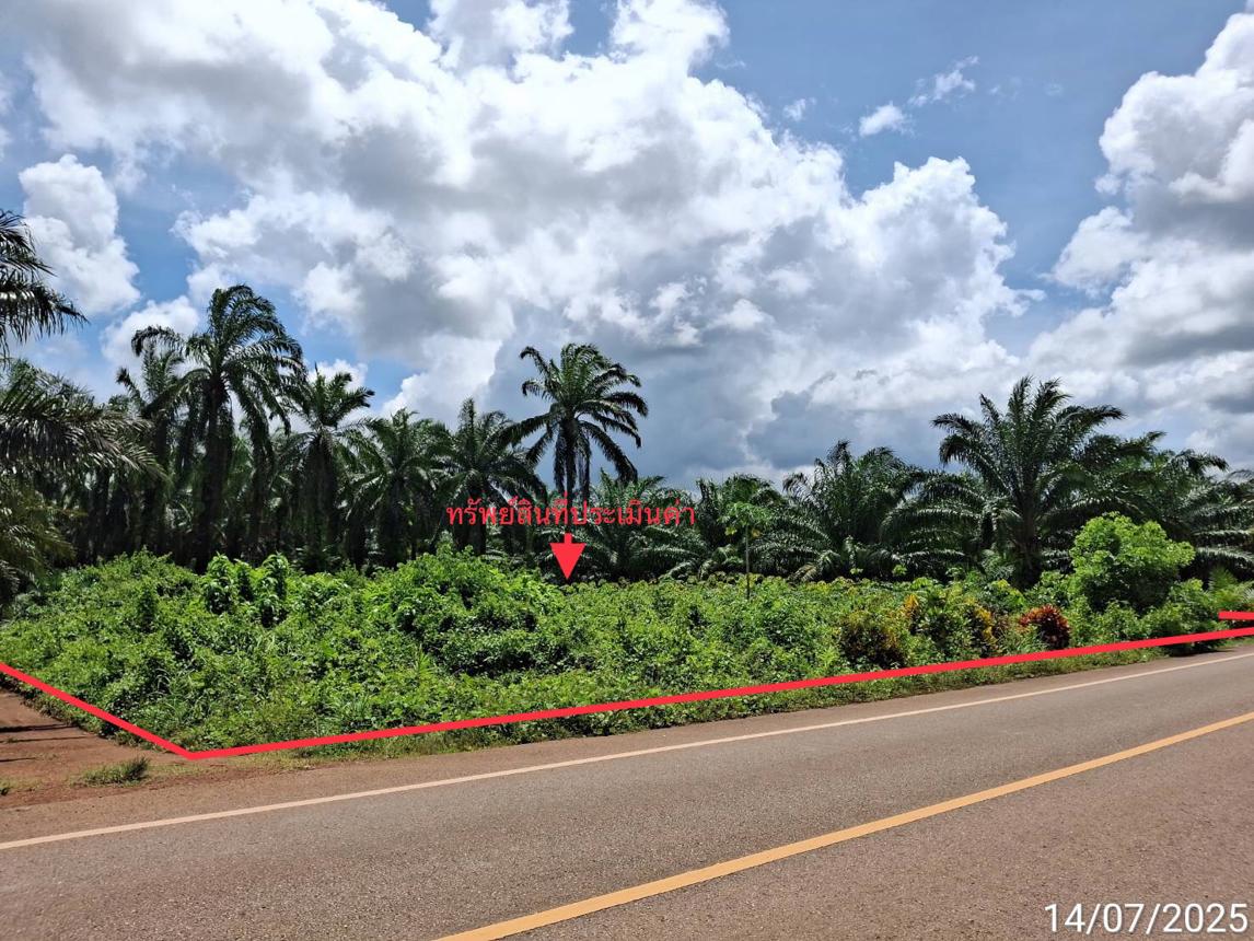 รูป ที่ดินว่างเปล่า 125 ตร.วา ปะเหลียน ตรัง 963,000 - รูปที่ 12/25