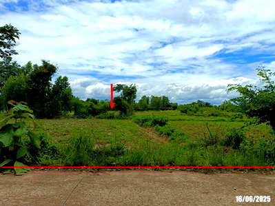 Land for sale Kut Chap Udon Thani : LAND 5442 Sq.w. Kut Chap Udon Thani for 7M