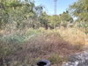 listing thumbnail image 40