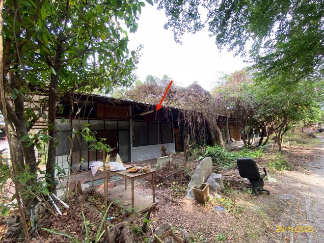 รูป บ้านเดี่ยว 2000 ตร.วา นครชัยศรี นครปฐม 20.5M - รูปที่ 14/49