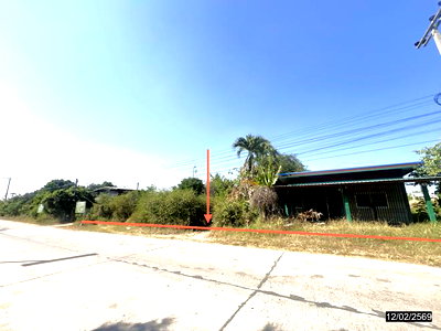 บ้านเดี่ยว ชัยภูมิ : บ้านเดี่ยว 830 ตร.วา บำเหน็จณรงค์ ชัยภูมิ 1.9M