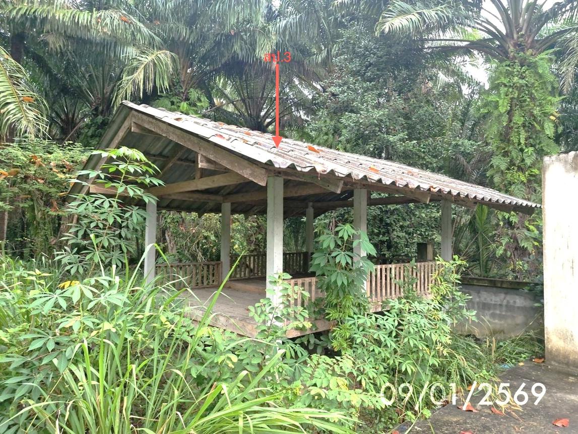 picture FACTORY 174 Sq.w. Khanom Nakhon Sri Thammarat for 737,000 - 16/21