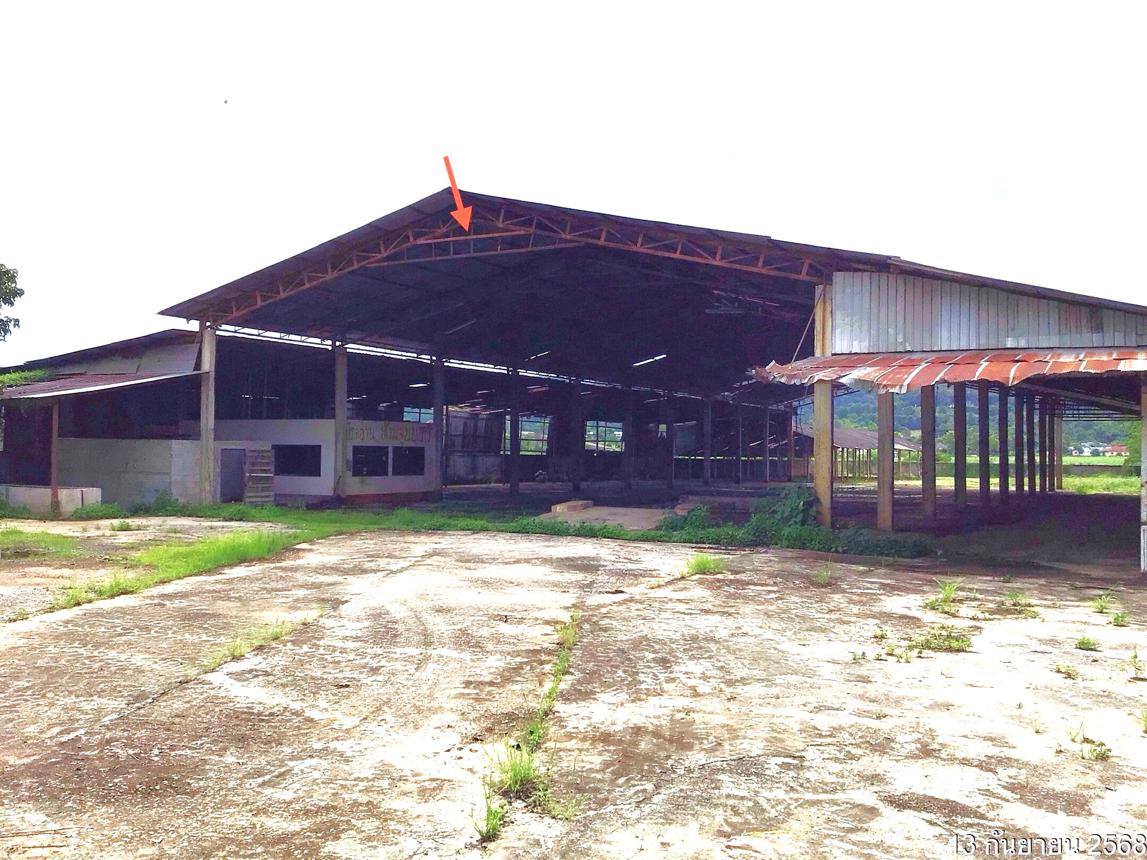 รูป โกดัง 1579 ตร.วา เวียงป่าเป้า เชียงราย 4M - รูปที่ 18/35