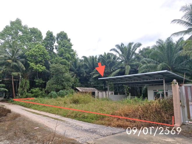 picture FACTORY 174 Sq.w. Khanom Nakhon Sri Thammarat for 737,000 - 1/21