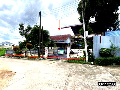 บ้านเดี่ยว เมืองเลย เลย : บ้านเดี่ยว 197 ตร.วา เมืองเลย เลย 4.4M