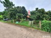 listing thumbnail image 25