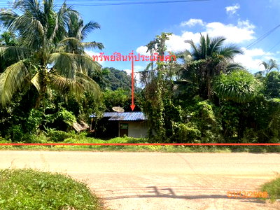 บ้านเดี่ยว สุราษฎร์ธานี : บ้านเดี่ยว 89.4 ตร.วา พระแสง สุราษฎร์ธานี 1.1M