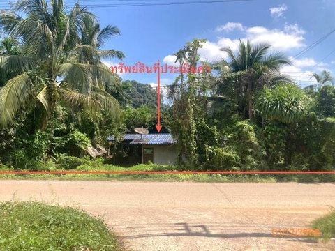 บ้านเดี่ยว 89.4 ตร.วา พระแสง สุราษฎร์ธานี 1.1M