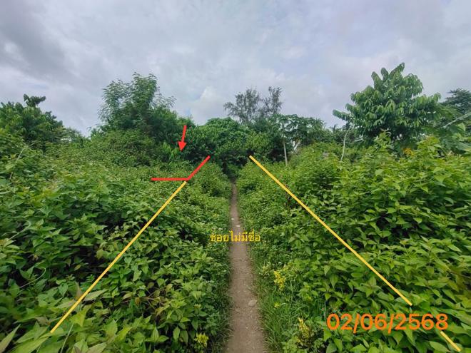 รูป ที่ดินว่างเปล่า 150 ตร.วา เมืองกระบี่ กระบี่ 997,000 - รูปที่ 4/17