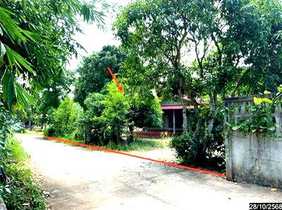 ขายบ้านเดี่ยว : บ้านเดี่ยว 398 ตร.วา หนองหิน เลย 2.5M