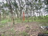 listing thumbnail image 24