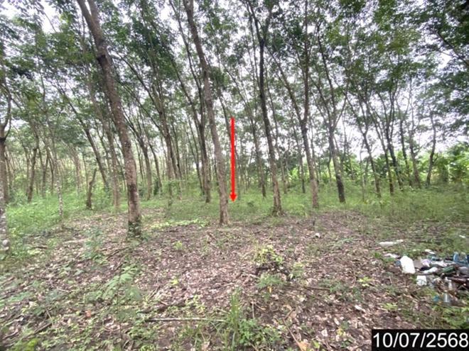 รูป บ้านเดี่ยว 9771.8 ตร.วา รัตนวาปี หนองคาย 14.3M - รูปที่ 25/53