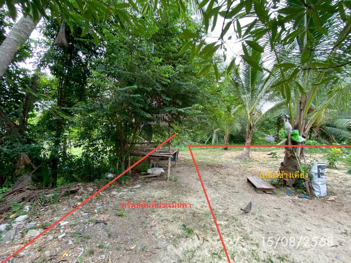 รูป ที่ดินว่างเปล่า 727.8 ตร.วา รัตภูมิ สงขลา 8.1M - รูปที่ 17/25