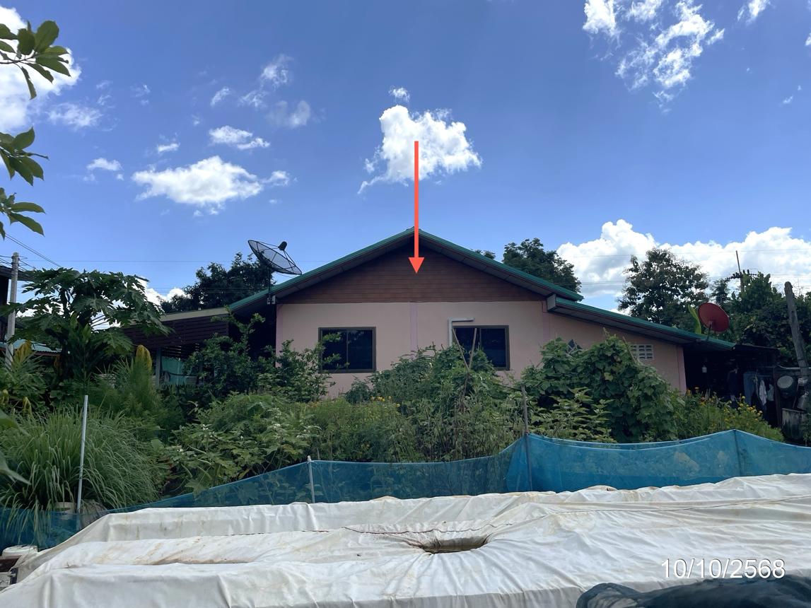 รูป บ้านเดี่ยว 62 ตร.วา หนองไผ่ เพชรบูรณ์ 996,000 - รูปที่ 11/17