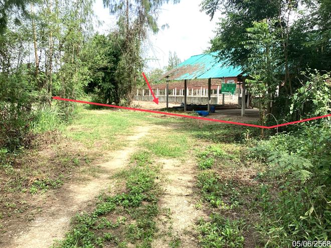 picture LAND 910.1 Sq.w. Kaeng Krachan Petchburi for 1.1M - 1/25