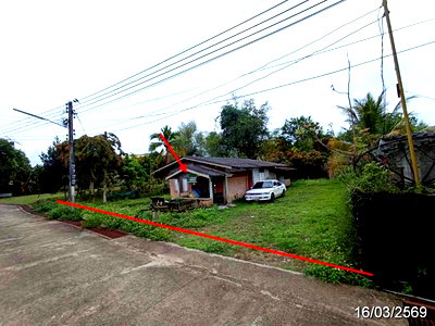 บ้านเดี่ยว เชียงใหม่ : บ้านเดี่ยว 168.6 ตร.วา ฝาง เชียงใหม่ 939,000