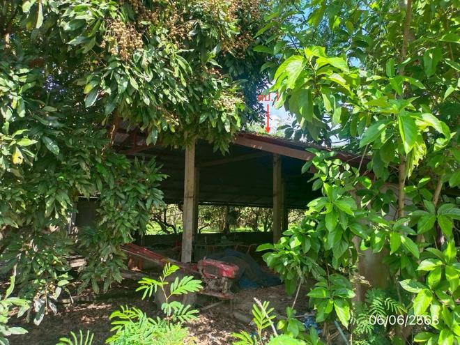 picture FACTORY 4023 Sq.w. Wiang Chai Chiang Rai for 4.5M - 2/25